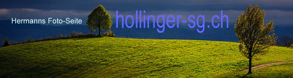 hollinger-sg.ch